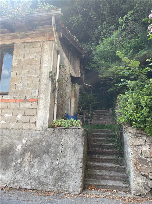 Avviso di asta pubblica