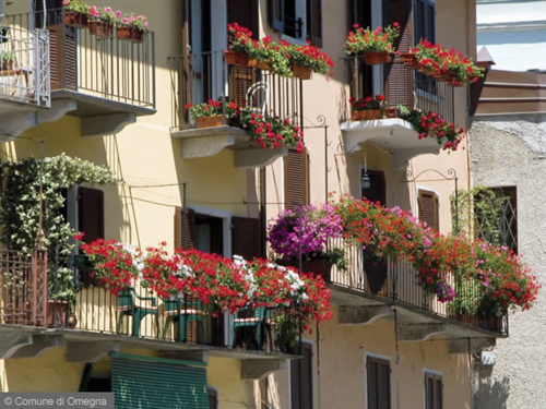 LAmministrazione Comunale, in collaborazione con lAssociazione Fra il Cuore e la Mente e Viviamo Omegna, promuove il Concorso Fiorito.